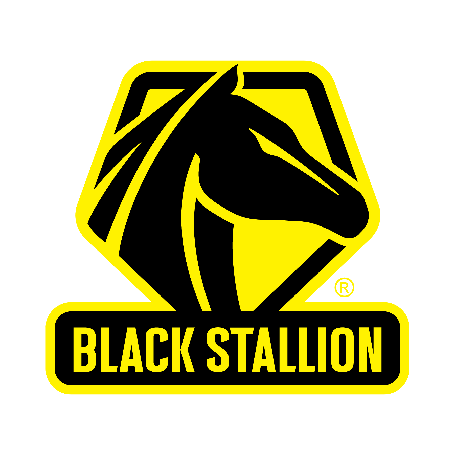 Black Stallion