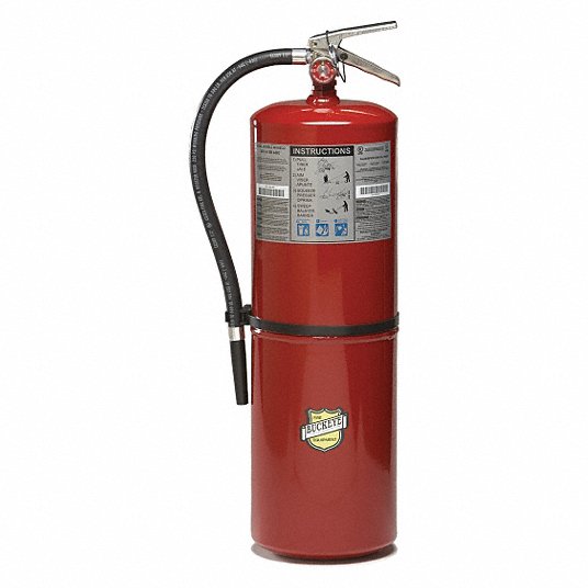 BUCKEYE Fire Extinguisher: 30 lb Extinguisher Capacity, 10A:160B:C, Monoammonium Phosphate (12905)